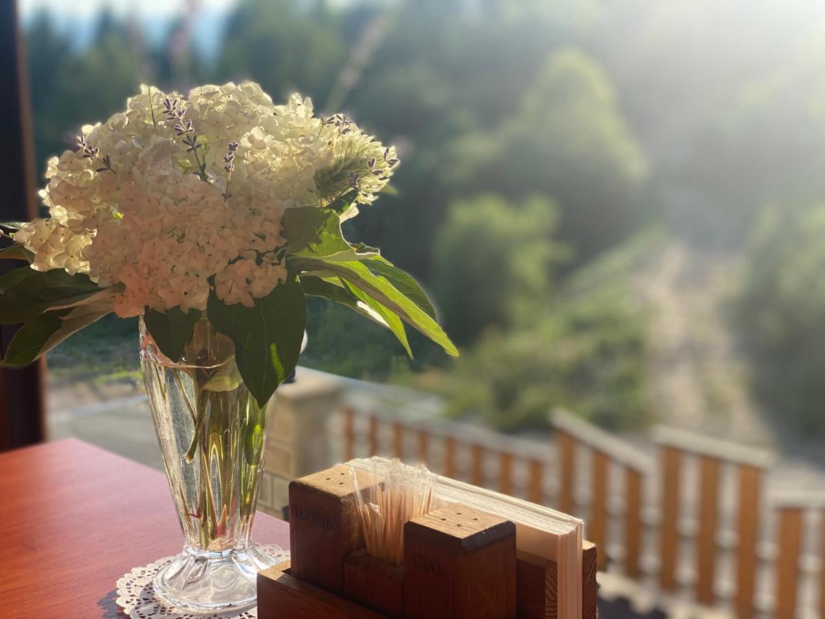 високий перевал, Bukovel Apartment
